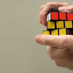 problem çözme aşamaları